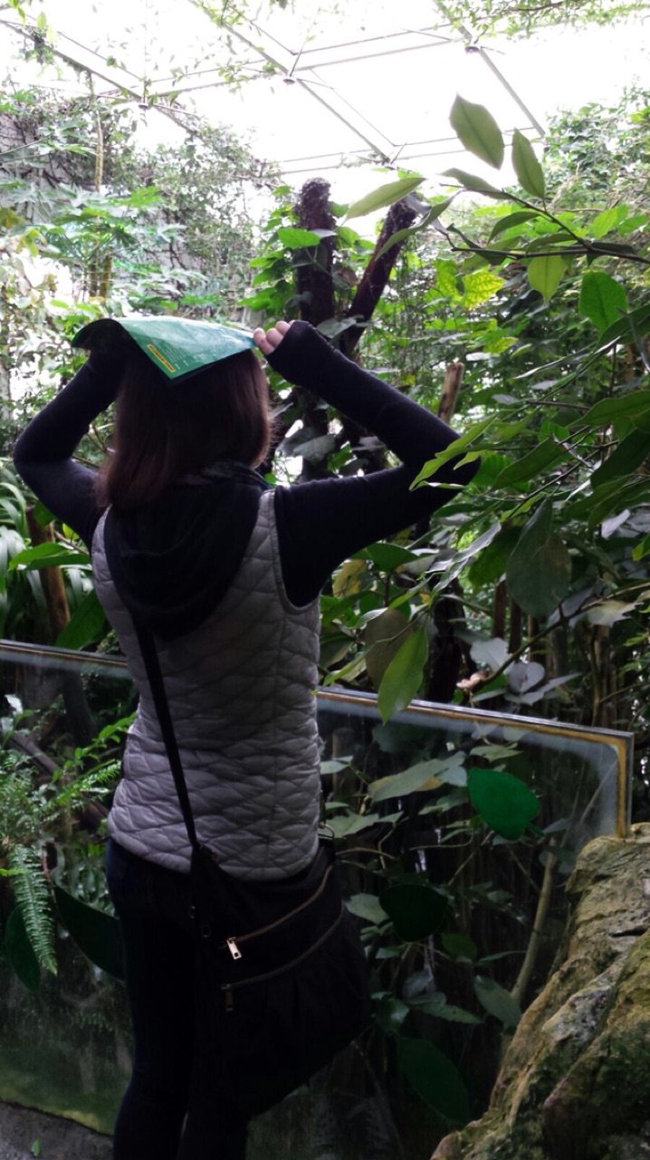 1.1476040775.i-heard-that-s-good-luck