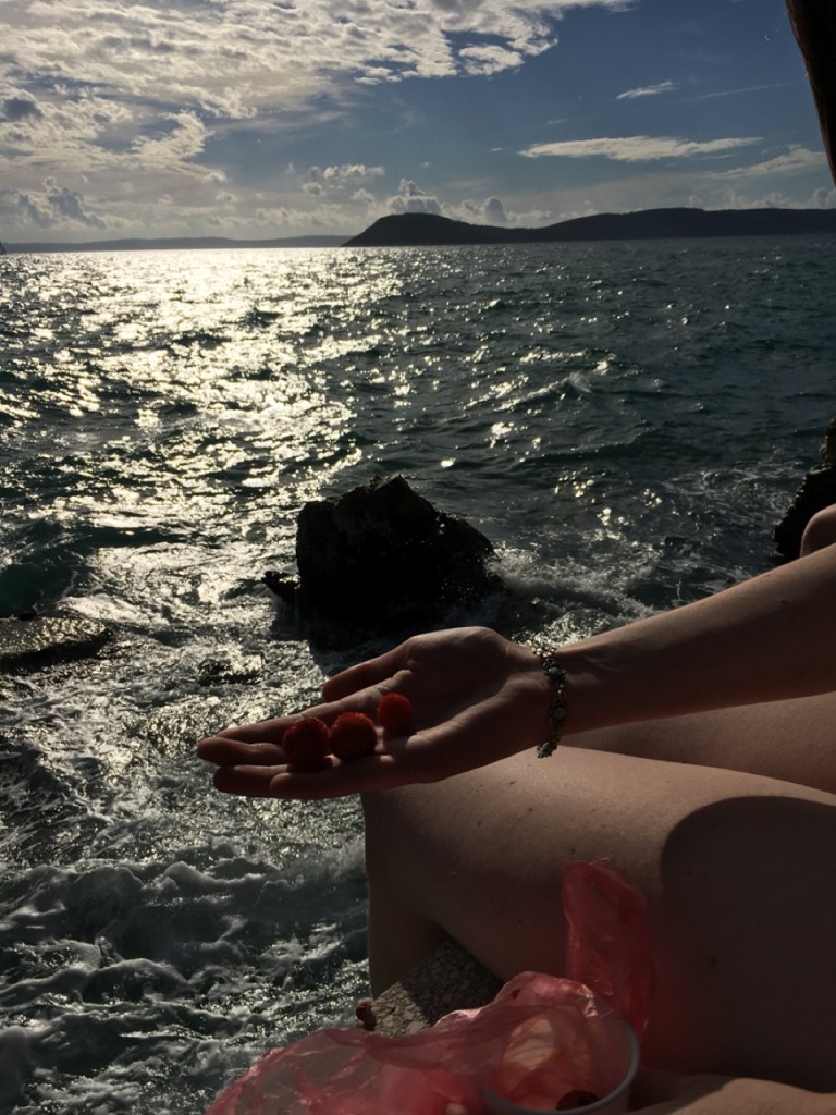 1.1476921600.funky-fresh-fruit