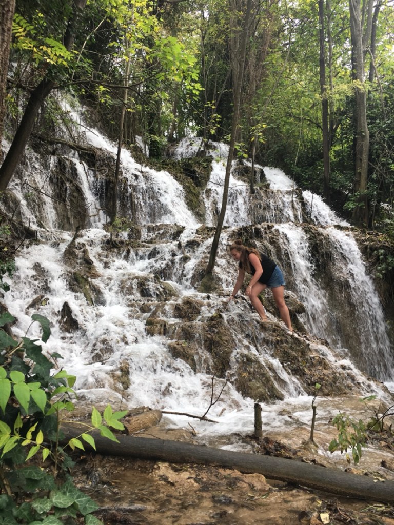 1.1477245866.jungle-jane