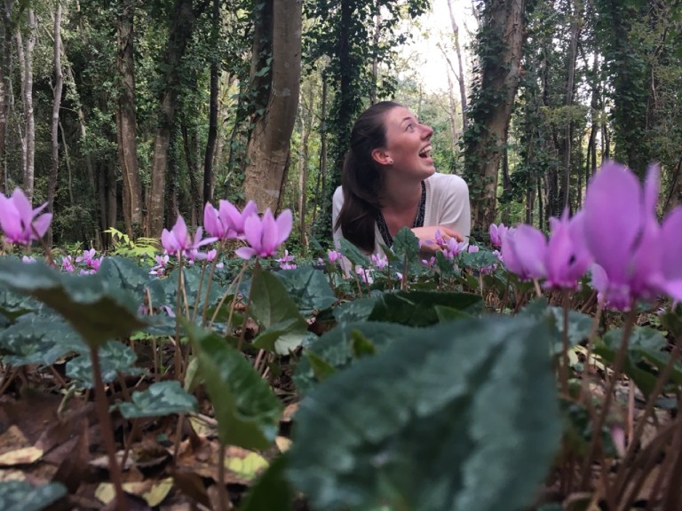 1.1477245866.pretty-in-pink