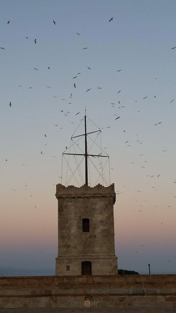 1.1480546239.pretty-birds